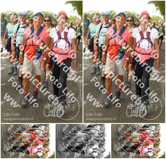 Evenement foto: Nijmeegse Vierdaagse 1041
