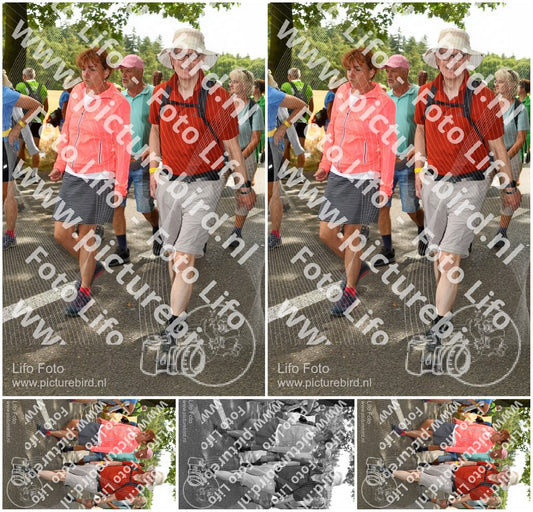 Evenement foto: Nijmeegse Vierdaagse 1041