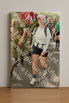 Evenement foto: Nijmeegse Vierdaagse 1041