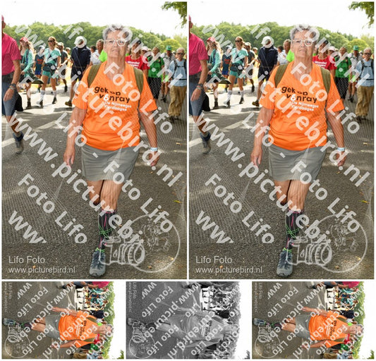 Evenement foto: Nijmeegse Vierdaagse 1041