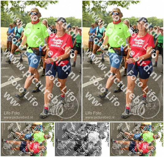 Evenement foto: Nijmeegse Vierdaagse 1041