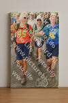 Evenement foto: Nijmeegse Vierdaagse 1041
