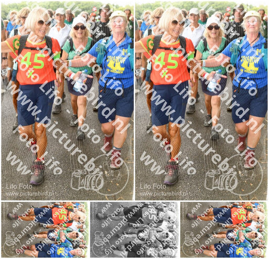 Evenement foto: Nijmeegse Vierdaagse 1041