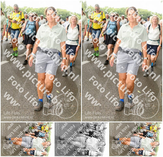 Evenement foto: Nijmeegse Vierdaagse 1041