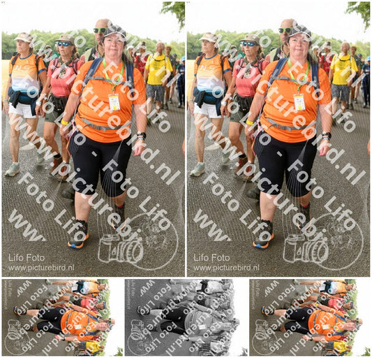 Evenement foto: Nijmeegse Vierdaagse 1041