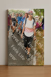 Evenement foto: Nijmeegse Vierdaagse 1041