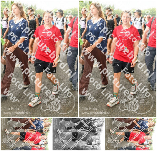 Evenement foto: Nijmeegse Vierdaagse 1041
