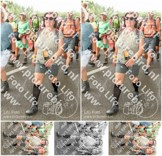 Evenement foto: Nijmeegse Vierdaagse 1041