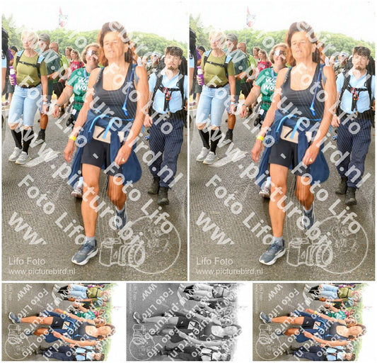 Evenement foto: Nijmeegse Vierdaagse 1041