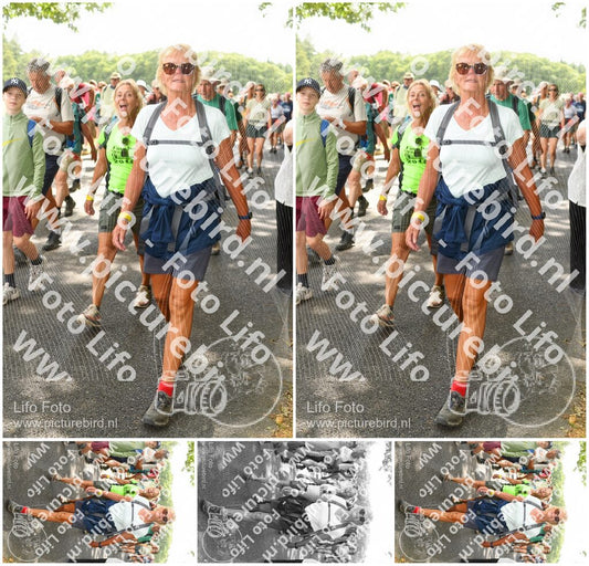 Evenement foto: Nijmeegse Vierdaagse 1040