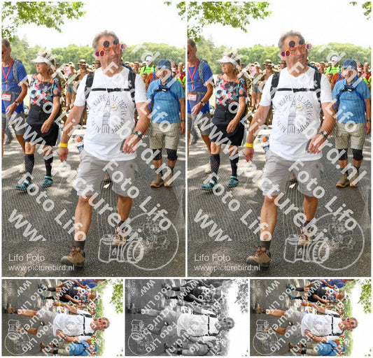 Evenement foto: Nijmeegse Vierdaagse 1040