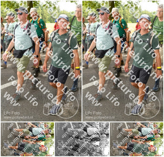 Evenement foto: Nijmeegse Vierdaagse 1040