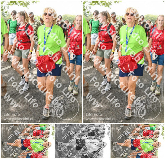 Evenement foto: Nijmeegse Vierdaagse 1040