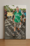 Evenement foto: Nijmeegse Vierdaagse 1040