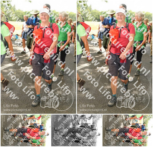Evenement foto: Nijmeegse Vierdaagse 1040