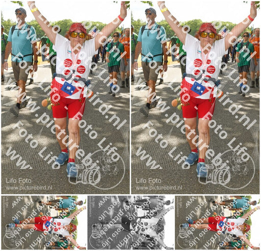 Evenement foto: Nijmeegse Vierdaagse 1040