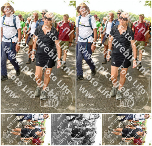 Evenement foto: Nijmeegse Vierdaagse 1040