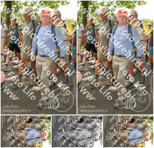 Evenement foto: Nijmeegse Vierdaagse 1040