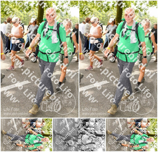 Evenement foto: Nijmeegse Vierdaagse 1040