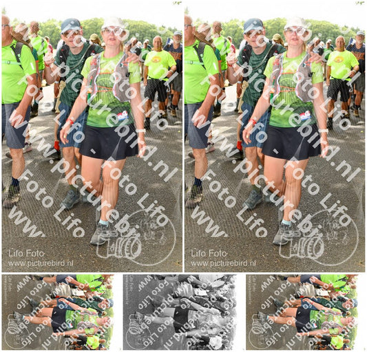 Evenement foto: Nijmeegse Vierdaagse 1040
