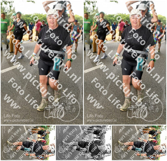 Evenement foto: Nijmeegse Vierdaagse 1040
