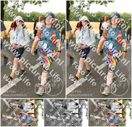 Evenement foto: Nijmeegse Vierdaagse 1040