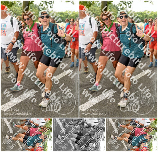 Evenement foto: Nijmeegse Vierdaagse 1040