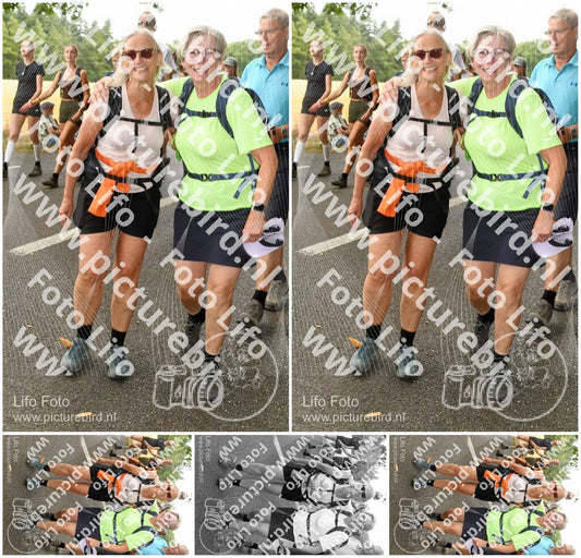 Evenement foto: Nijmeegse Vierdaagse 1040