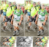 Evenement foto: Nijmeegse Vierdaagse 1039