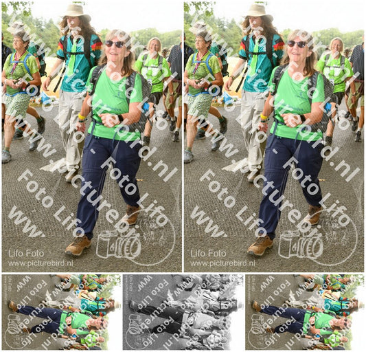 Evenement foto: Nijmeegse Vierdaagse 1039