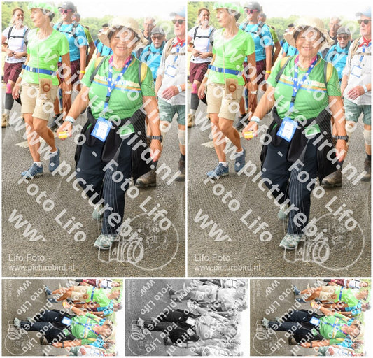 Evenement foto: Nijmeegse Vierdaagse 1039