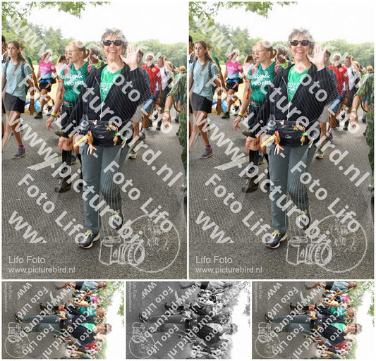 Evenement foto: Nijmeegse Vierdaagse 1039