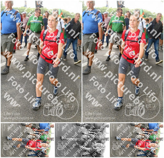 Evenement foto: Nijmeegse Vierdaagse 1039