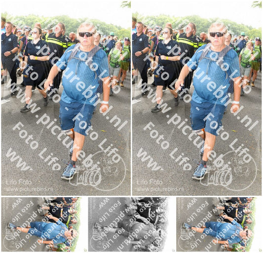 Evenement foto: Nijmeegse Vierdaagse 1039