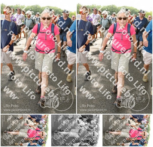 Evenement foto: Nijmeegse Vierdaagse 1039