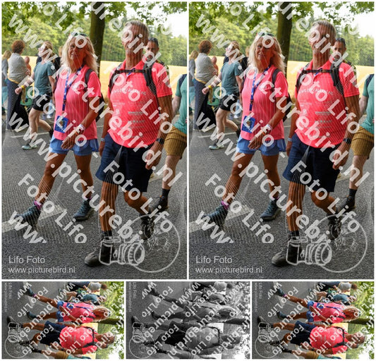 Evenement foto: Nijmeegse Vierdaagse 1039