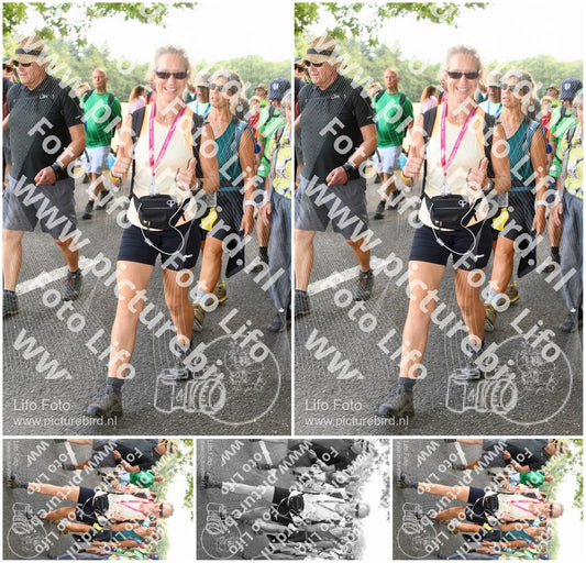 Evenement foto: Nijmeegse Vierdaagse 1039