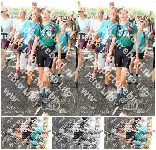 Evenement foto: Nijmeegse Vierdaagse 1039