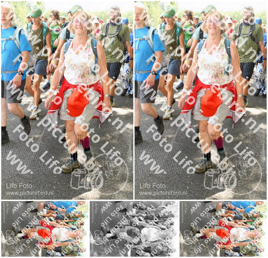 Evenement foto: Nijmeegse Vierdaagse 1039