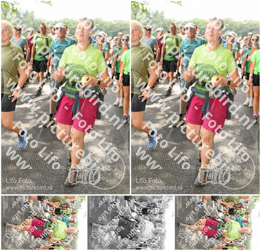 Evenement foto: Nijmeegse Vierdaagse 1038