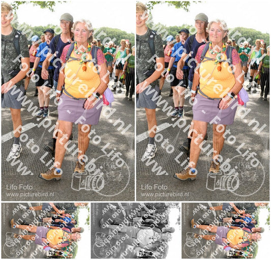 Evenement foto: Nijmeegse Vierdaagse 1038