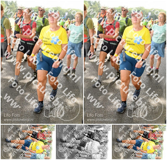 Evenement foto: Nijmeegse Vierdaagse 1038