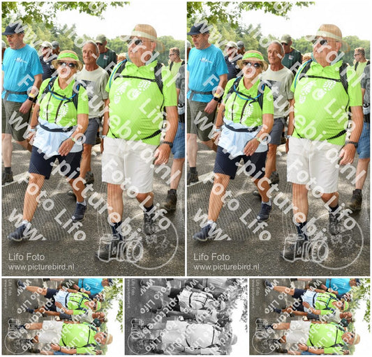 Evenement foto: Nijmeegse Vierdaagse 1038