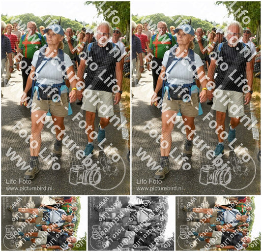 Evenement foto: Nijmeegse Vierdaagse 1038