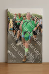 Evenement foto: Nijmeegse Vierdaagse 1038