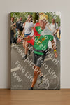 Evenement foto: Nijmeegse Vierdaagse 1038