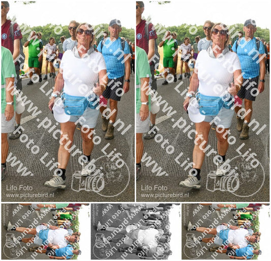 Evenement foto: Nijmeegse Vierdaagse 1038