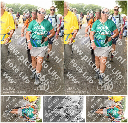 Evenement foto: Nijmeegse Vierdaagse 1038