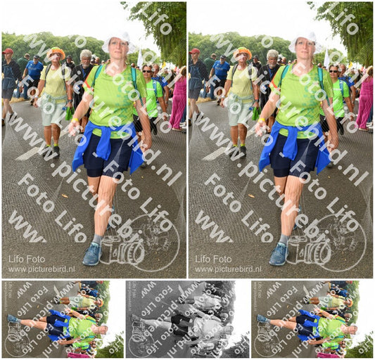 Evenement foto: Nijmeegse Vierdaagse 1038