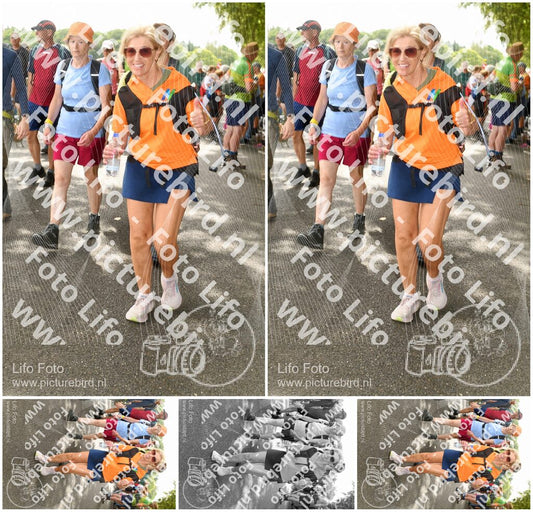Evenement foto: Nijmeegse Vierdaagse 1030